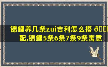 锦鲤养几条zui
吉利怎么搭 🐕 配,锦鲤5条6条7条9条寓意